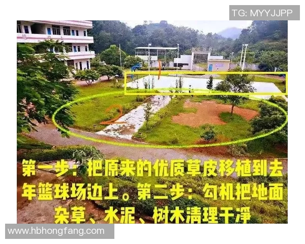 田亮的故乡揭秘 他到底是哪里人从家乡到足球场的传奇故事